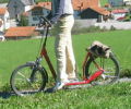 Foto Trottinett
